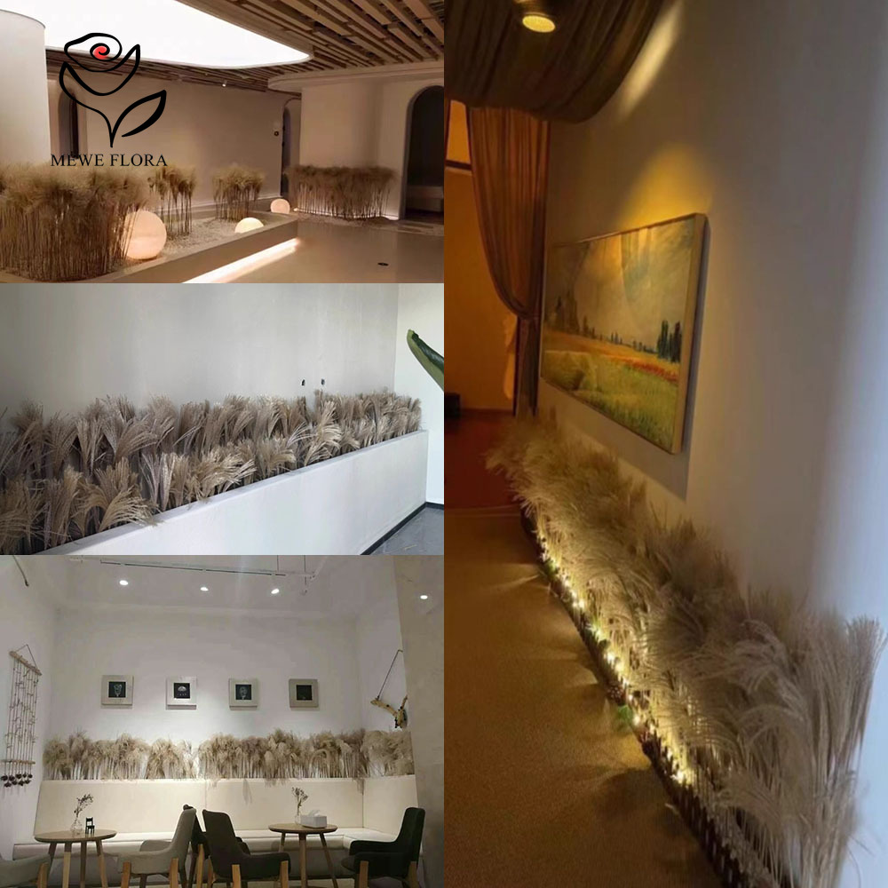 200 STKS Natuurlijke Gedroogde - Luxury Lifestyle Store recensie en prijs